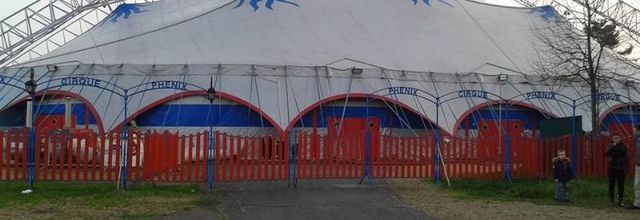 Le Phénix : Le plus grand chapiteau de cirque au monde