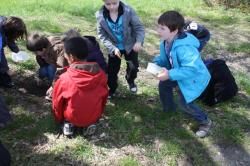 Le jardin m'a dit : amis ou ennemis