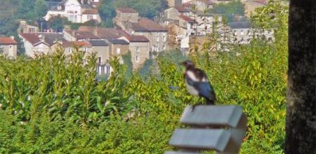 En passant par Poitiers - Going by Poitiers