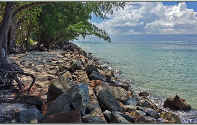 11/12/2021 : l'ex plage du début de Grande Anse Kerlan - Praslin - Seychelles