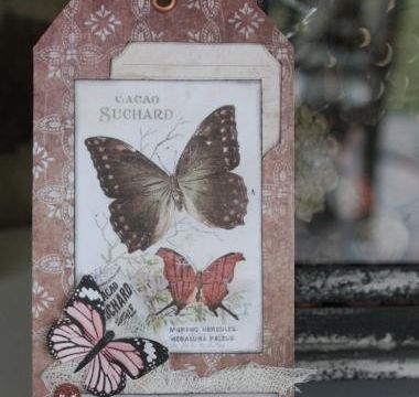 Double tag aux papillons