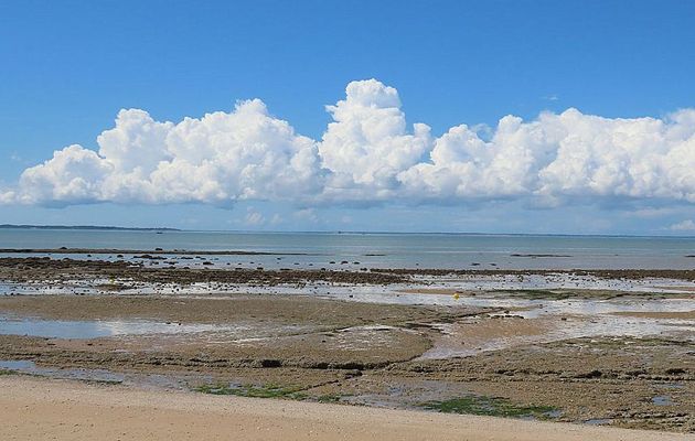 Angoulins sur mer 