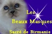 lesbeauxmasques