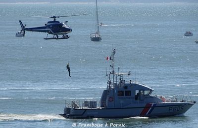 Pornic, LES AILES BLEUES - Patrouille de France - 2017