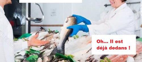 Poisson plastique