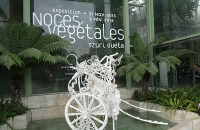 ☻ Noces végétales au Jardin des Plantes : une promenade en compagnie de Dany