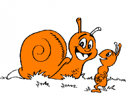 Période 1: les ptites bêtes autour de nous!