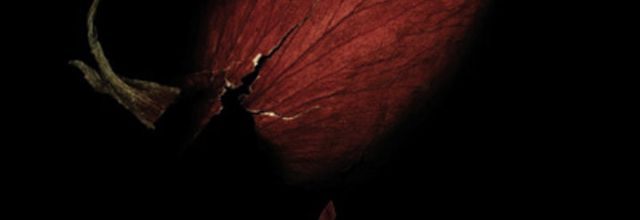 Waves of hope and sorrow - A review of Daylight Dies' Dismantling Devotion