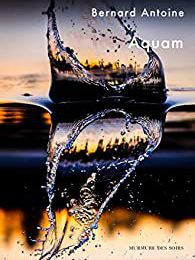 EB - Une lecture sans plaisir : "Aquam" de Bernard Antoine...