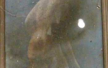 La joie à la maison