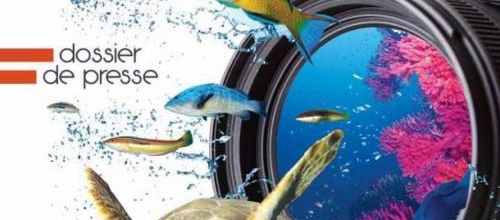 Festival et concours photo