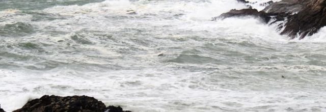 Quiberon (suite et fin) : Rochers