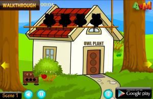 AVM Pleasant forest house escape soluce