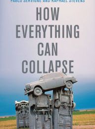 Online Read Ebook How Everything Can Collapse: A Manual for our Times