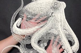 De la dentelle de papier ... 