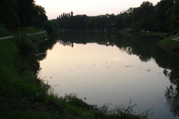 LES FORMES DE L'EAU XII