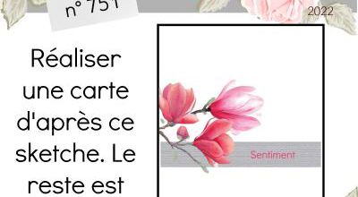 Passion Cartes Créatives#751 !