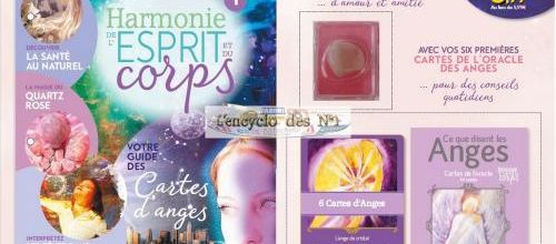 N° 1 Harmonie du corps et de l'esprit - Test 