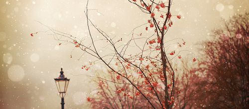 Octobre, en trois points ♥.
