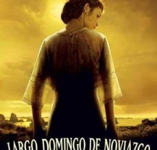 LARGO DOMINGO DE NOVIAZGO leer el libro