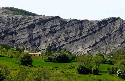 Les Terres noires "Pays Dignois"