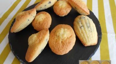 Madeleines aux pépites de chocolat