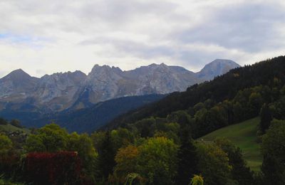 882 - En direction du Grand-Bornand, en Haute-Savoie (74)