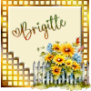Réception Brigitte  Claudette***