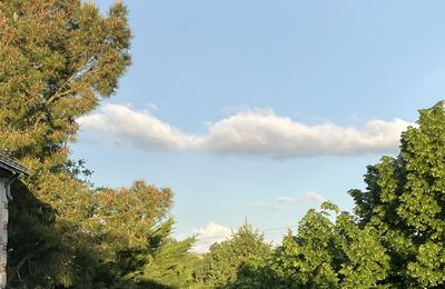 Un regard sur la mer