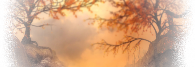 paysages et autres