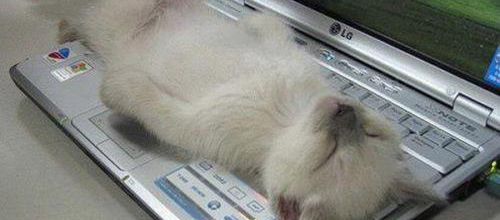 Une petite pause s'impose ... !!!