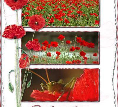 CHANTONS LE COQUELICOT