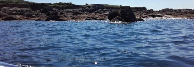  l 'eau de mer pourquoi ?