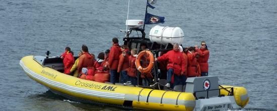 La croisière aux baleines