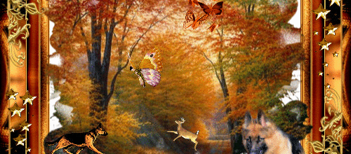 CREA CADRE AUTOMNE