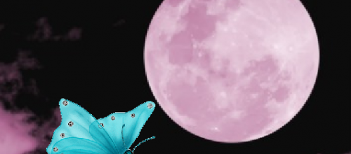 Dormez bien