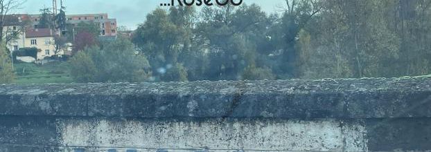 Lundi 11 novembre 2024