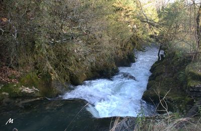 Le 20/11/2016 la cascade du Dard de Cheignieu la Balme - 1