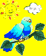  Maëlle en été !