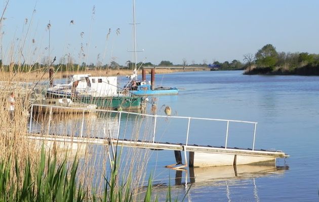 Tonnay-Charente (17)