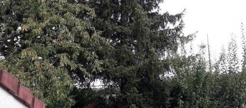 Un peu de rien avec un peu de tout