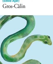 Online Read Ebook Gros-Câlin