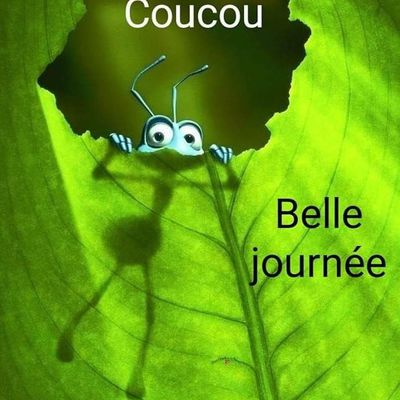 Ils ont bien travaillé