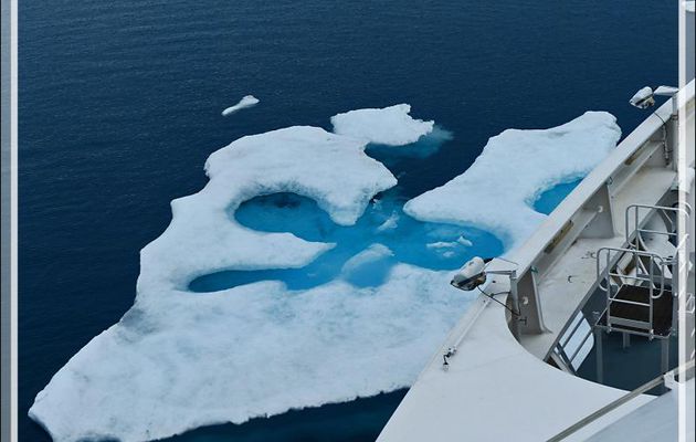 Toujours à la recherche d'un glaçon pour débarquer - Mer de Beaufort - Nunavut - Canada