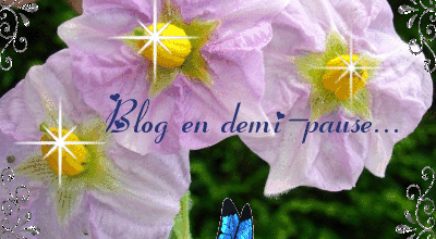Blog en semi-pause..pour cause voyage..
