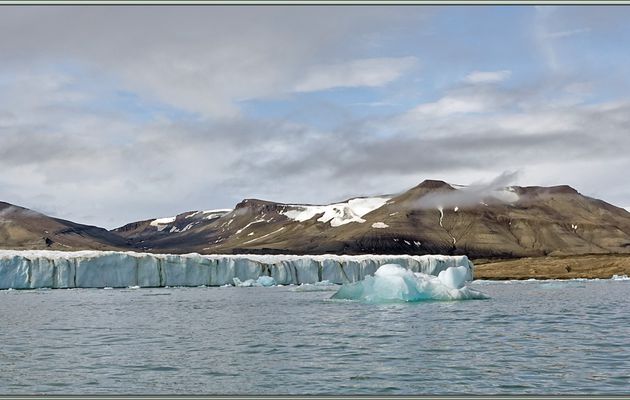 Nous rencontrons de magnifiques icebergs avec, en prime, une Mouette blanche qui se perche sur l'un d'eux - Glacier Negribreen - Spitzberg - Svalbard - Norvège