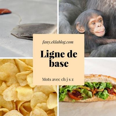 Mots avec /ch/, /j/, /s/ et /z/