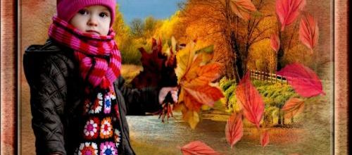  De jolies feuilles...