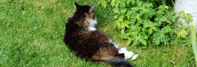 En balade et au jardin