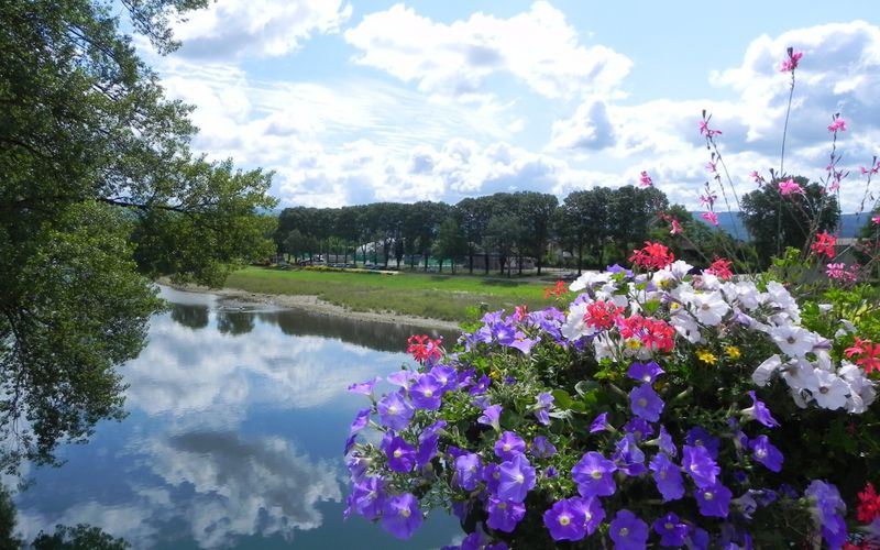 Nature fleurie dans l'Ain